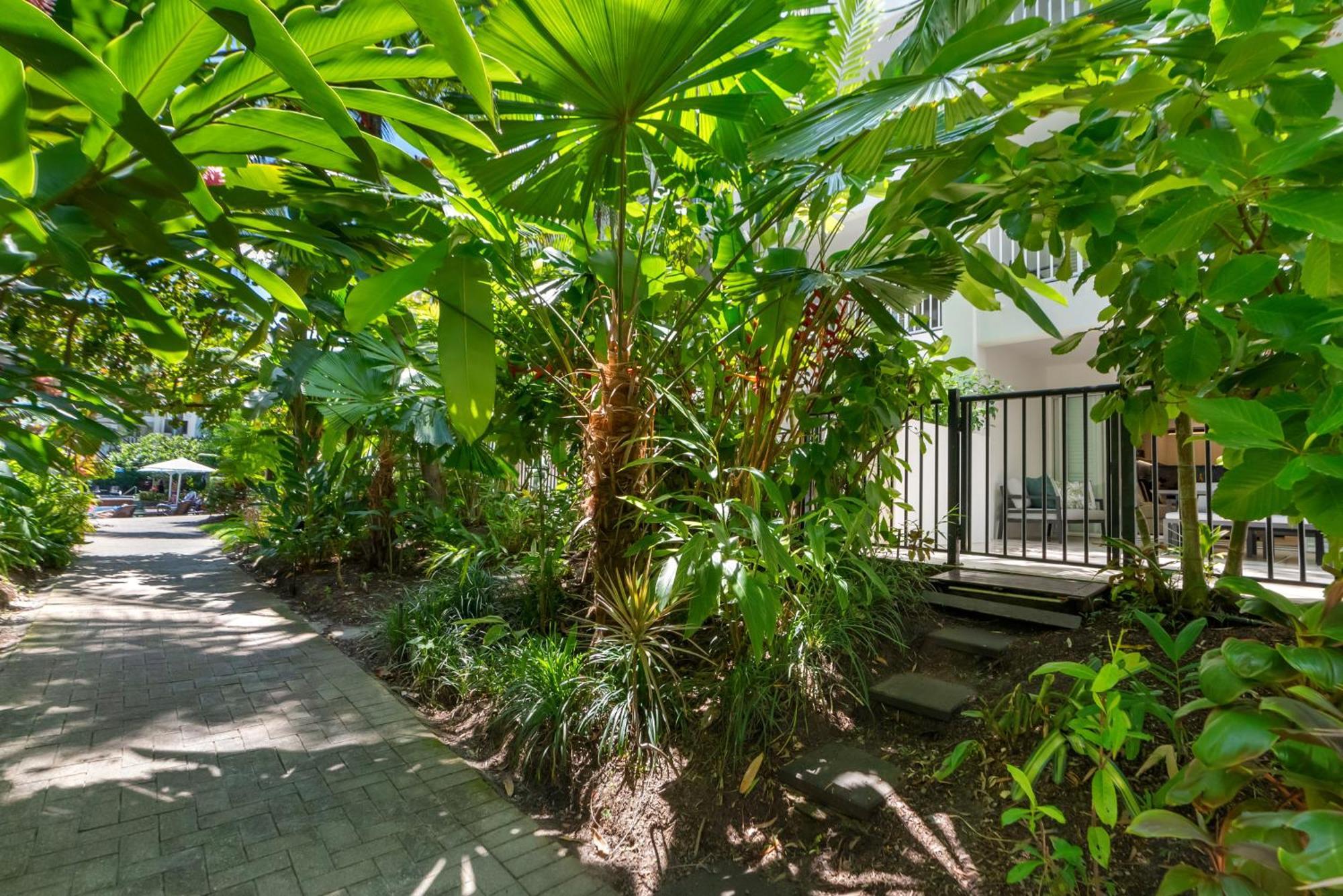 Elysium Private Apartments At Beach Club & Spa Palm Cove Kültér fotó