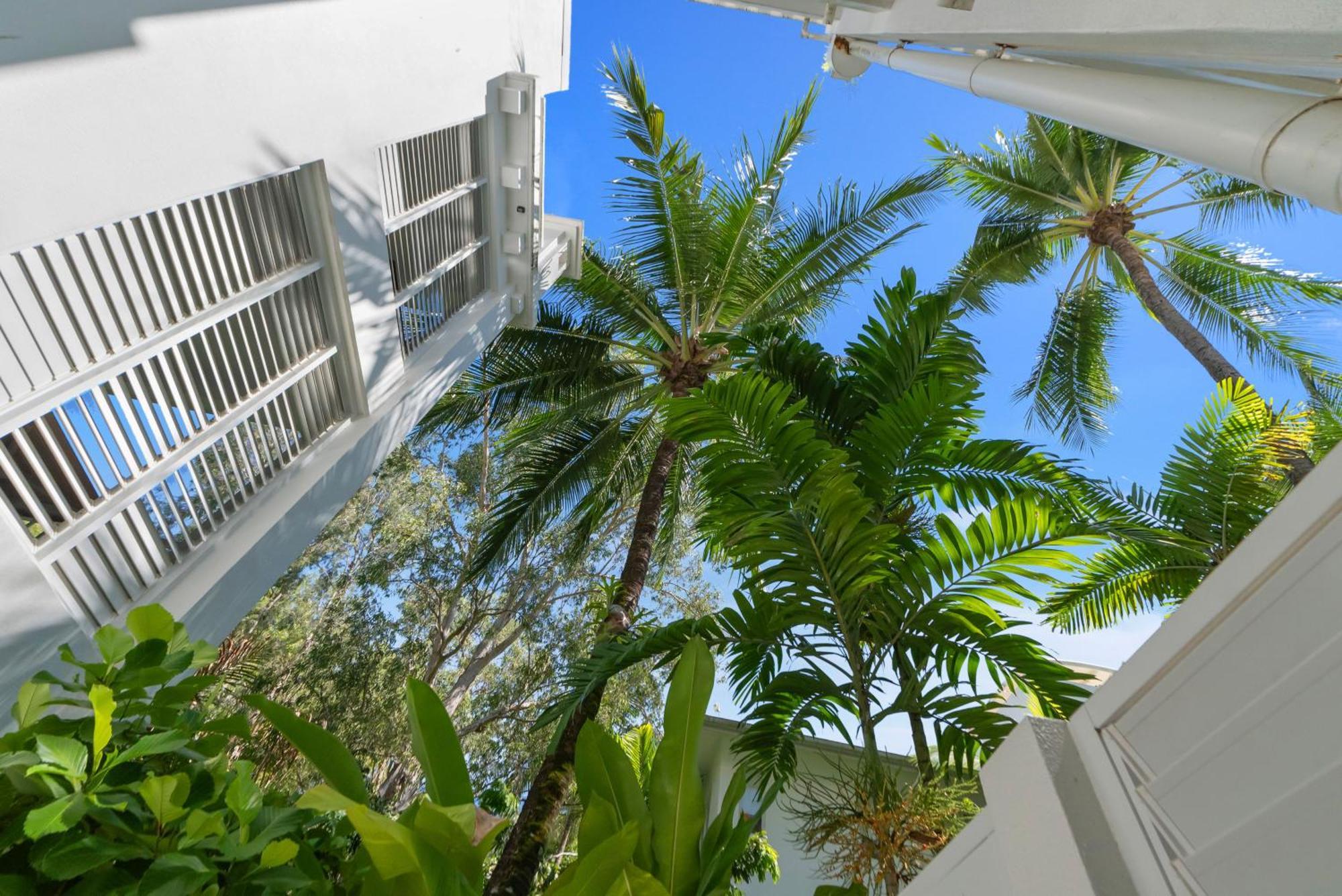 Elysium Private Apartments At Beach Club & Spa Palm Cove Kültér fotó